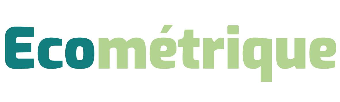 Logo Ecometrique